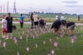 9-11_Flags_2016